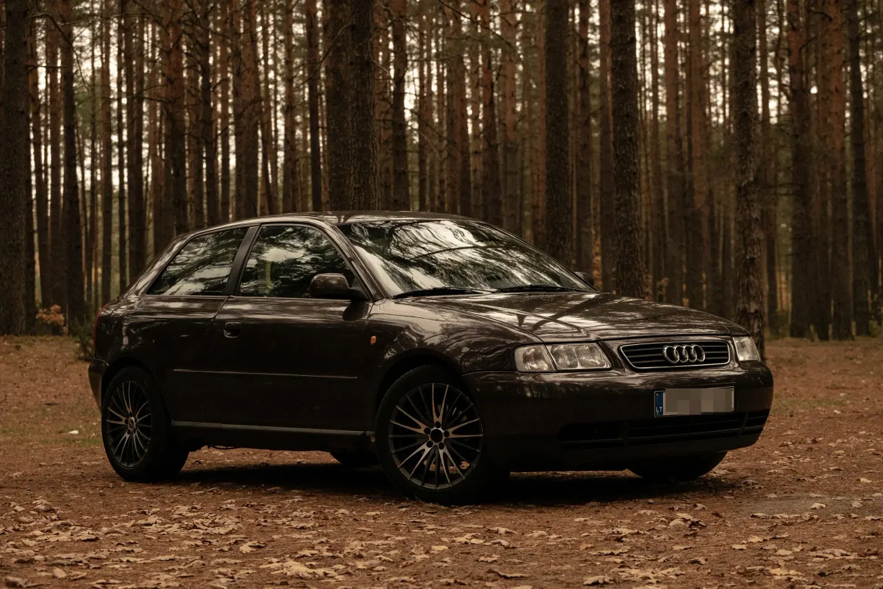 Orman içinde park halindeki koyu renkli Audi hatchback